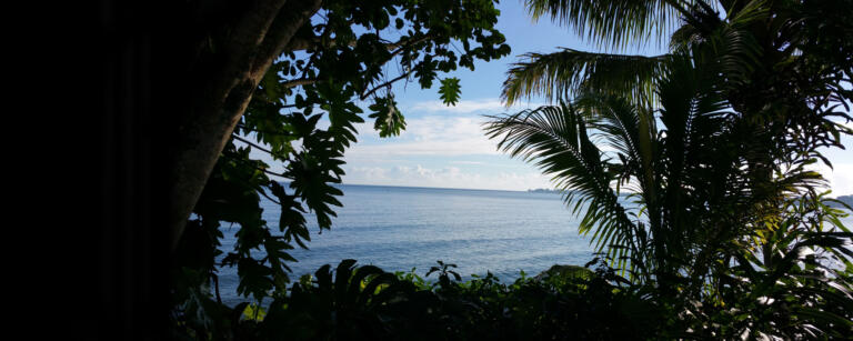 Gleichmut: wo der Geist zur Ruhe kommt…