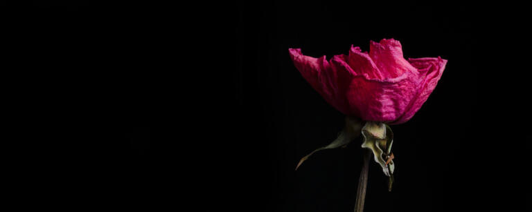 Was tun, wenn du deine innere Ruhe im Businessalltag verloren hast