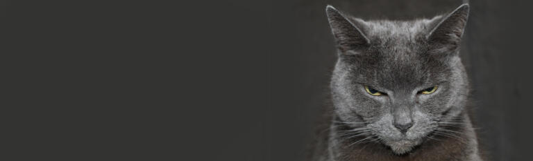 Bossing – wenn deine Führungskraft zum Risiko wird