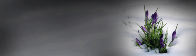 Was du in einer Mitarbeiterbeurteilung besser nicht tun solltest