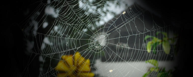 Was tun, wenn die Blockade dich im Griff hat