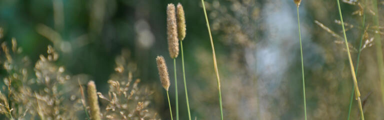 Warum Menschlichkeit uns retten wird