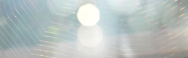 Menschen verstehen – warum alte Muster unser Verhalten prägen