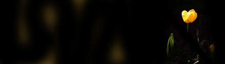 Konflikte in der Unternehmerfamilie